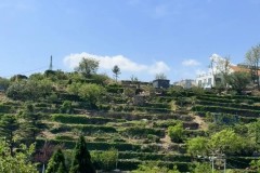 利物浦转会策略：7000万欧放迪亚斯加盟拜仁，8000万欧签罗德里戈